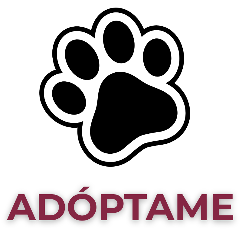Adóptame