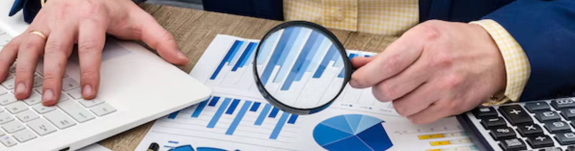 Auditorías y Actos de Fiscalización